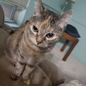 Meet your Posher, Sophia